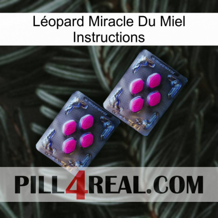 Léopard Miracle Du Miel Instructions 01